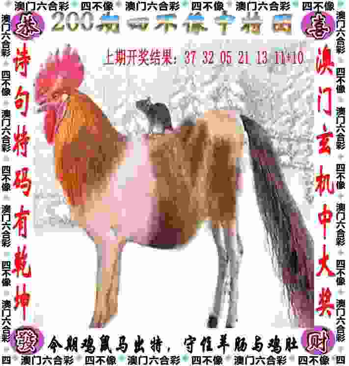 >新门内部资料免费提供网站
